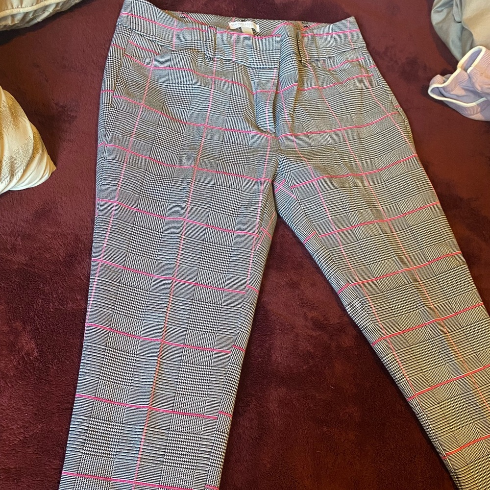 Pant